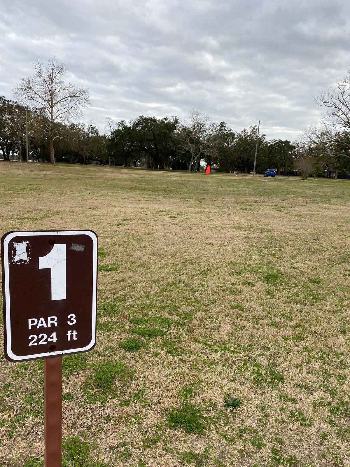 Red line is location of basket. No flag, baskets are grey metal.