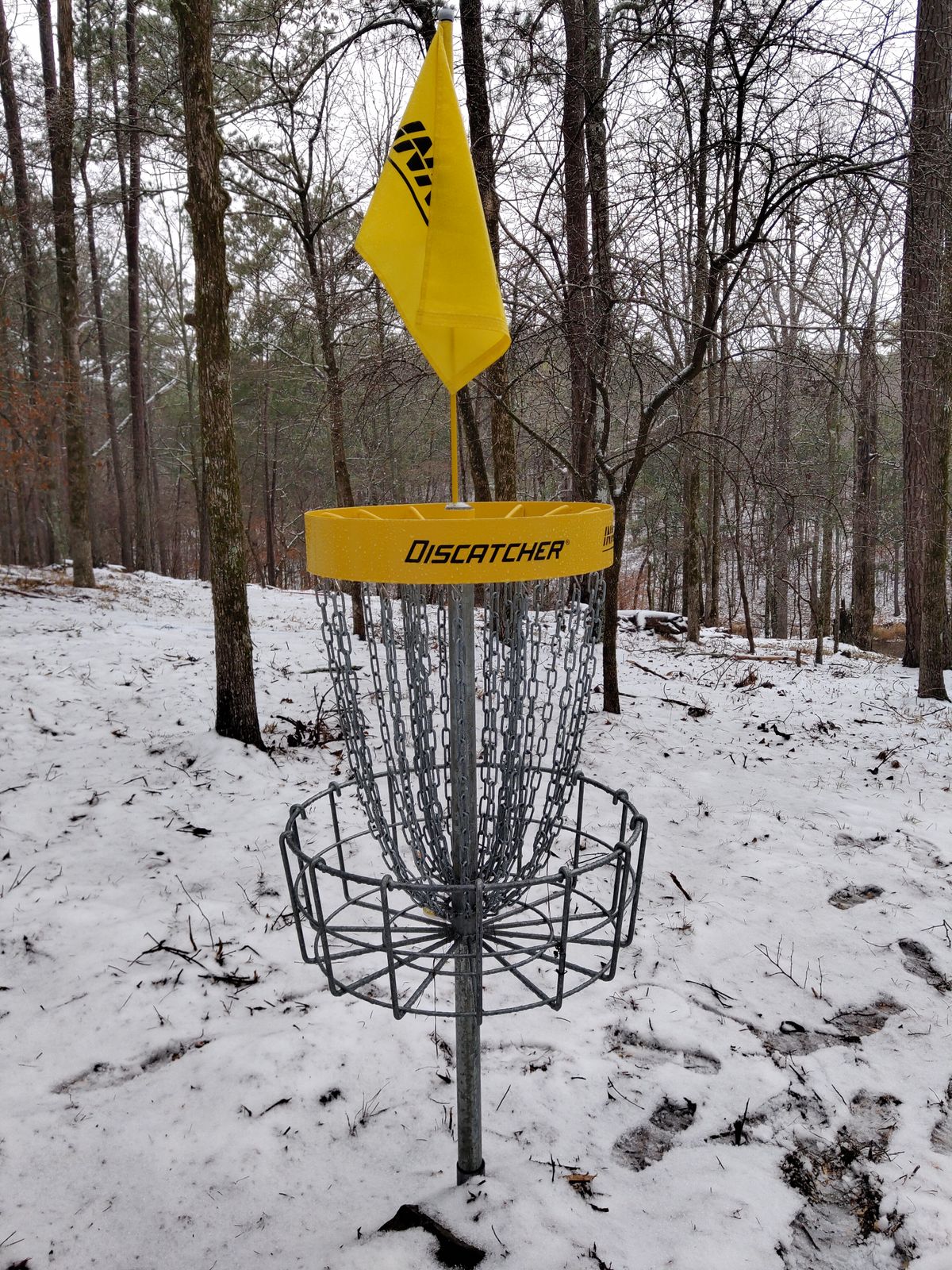 Basket 9 Snow day