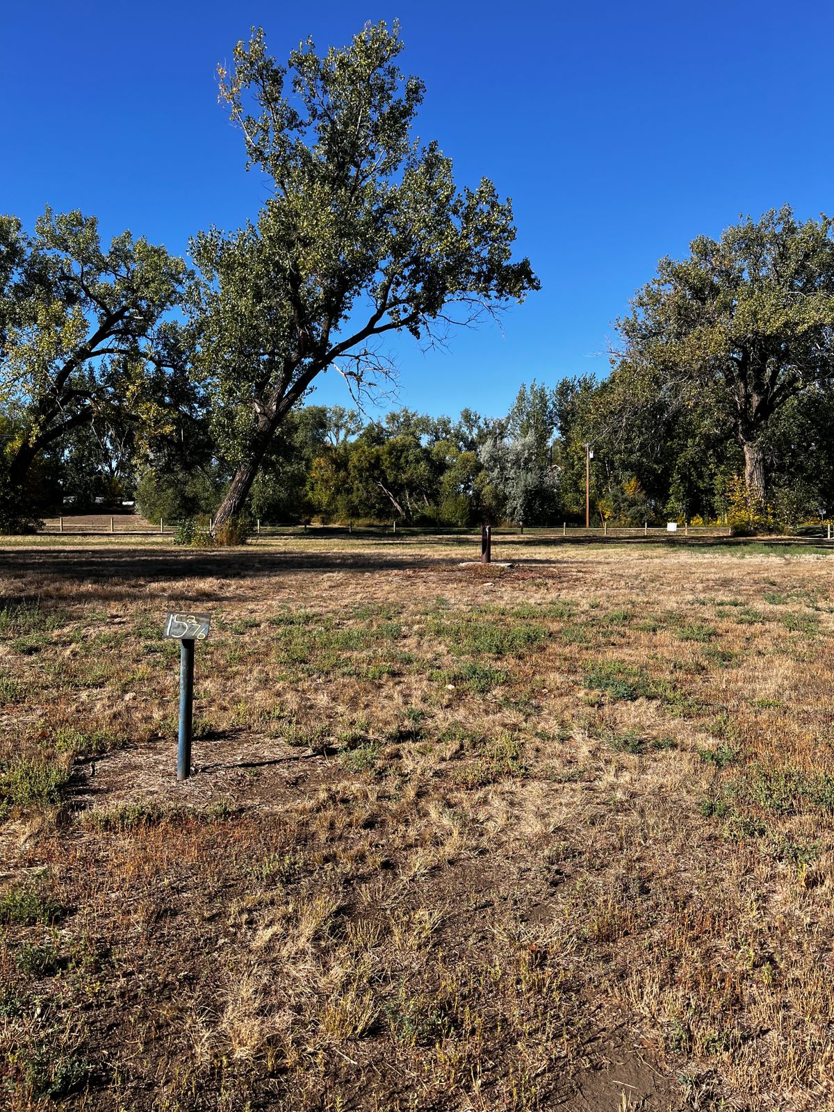 Tee 15