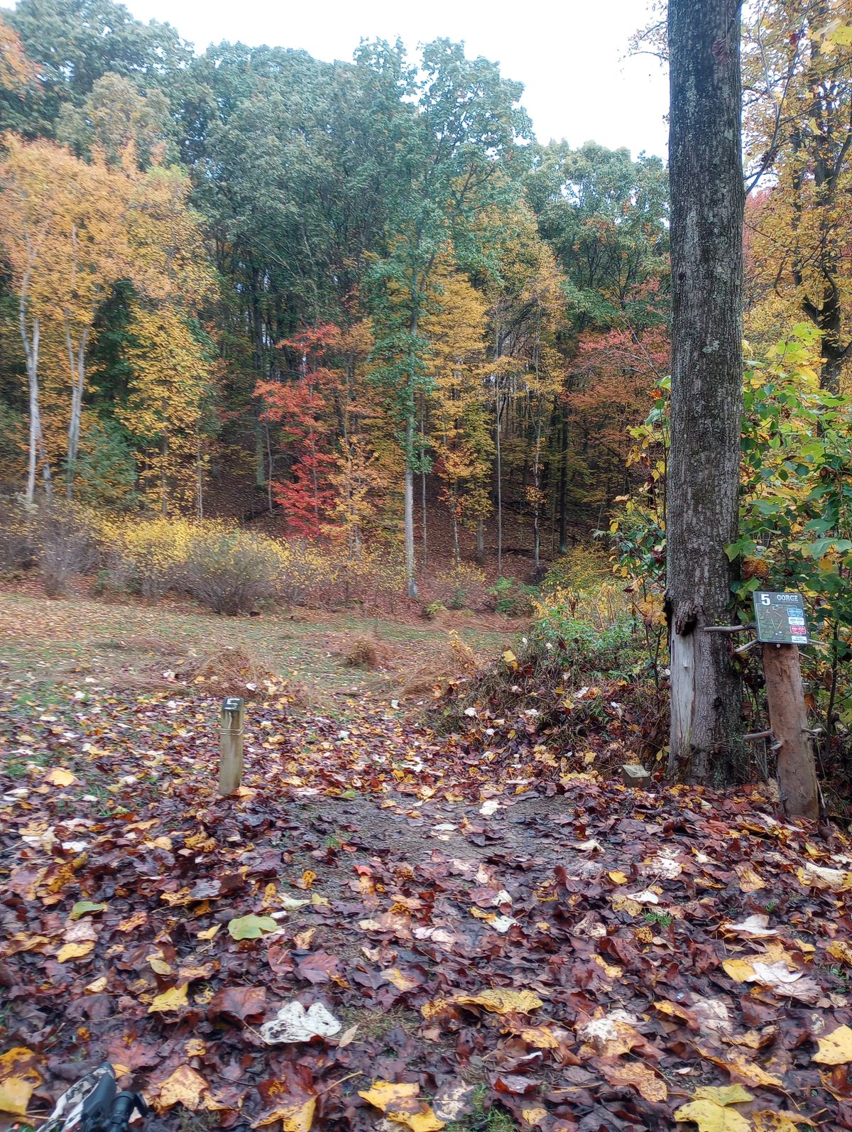 Hole 5: fall