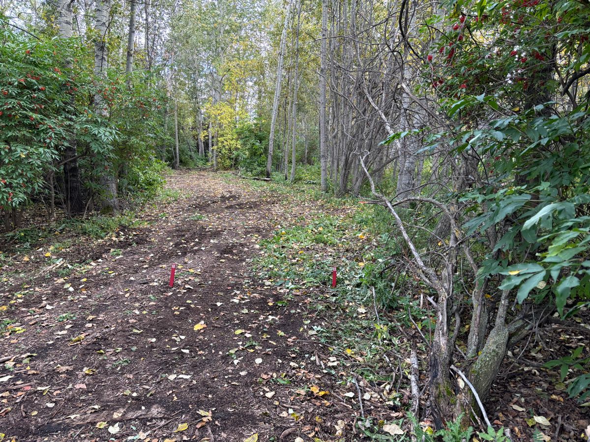 Hole 13 Reds - Par 4