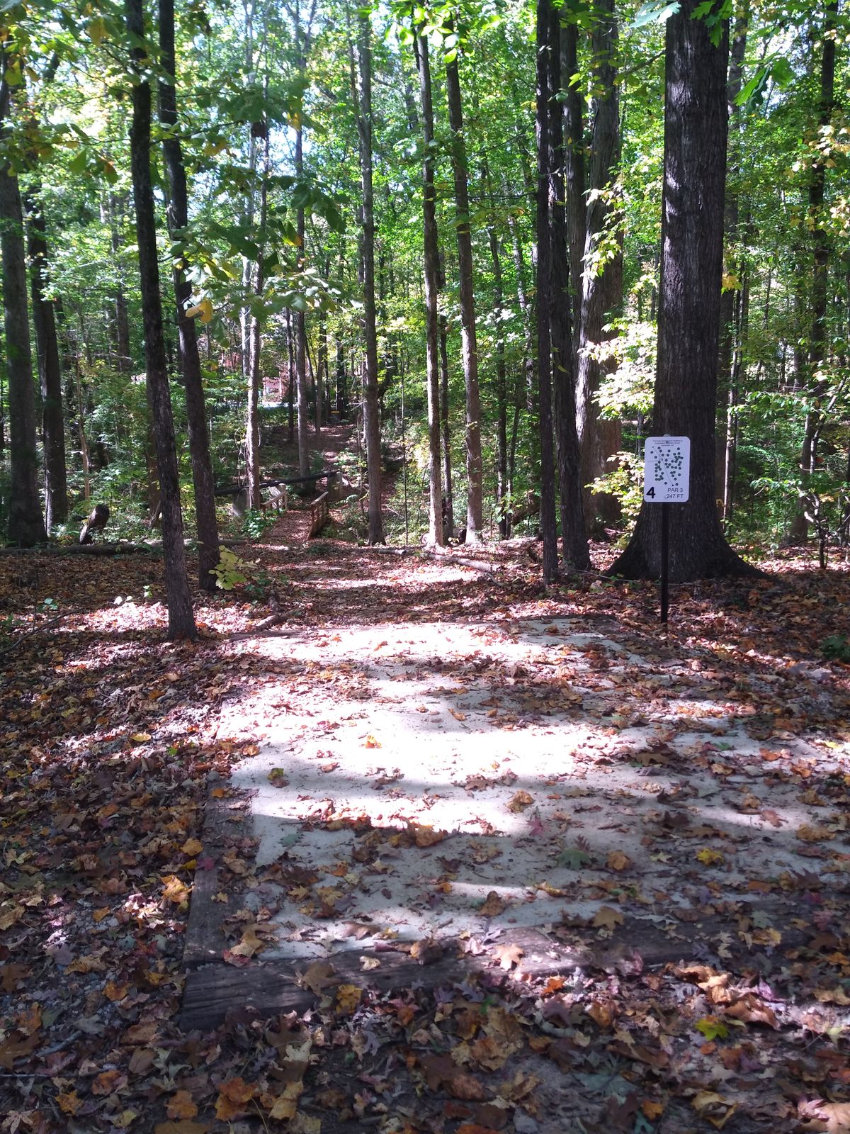 Hole 4, basket directly above right hand handrail on bridge.