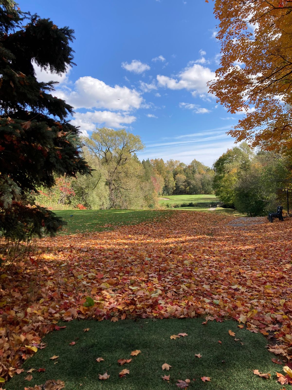 #6 Blue tee