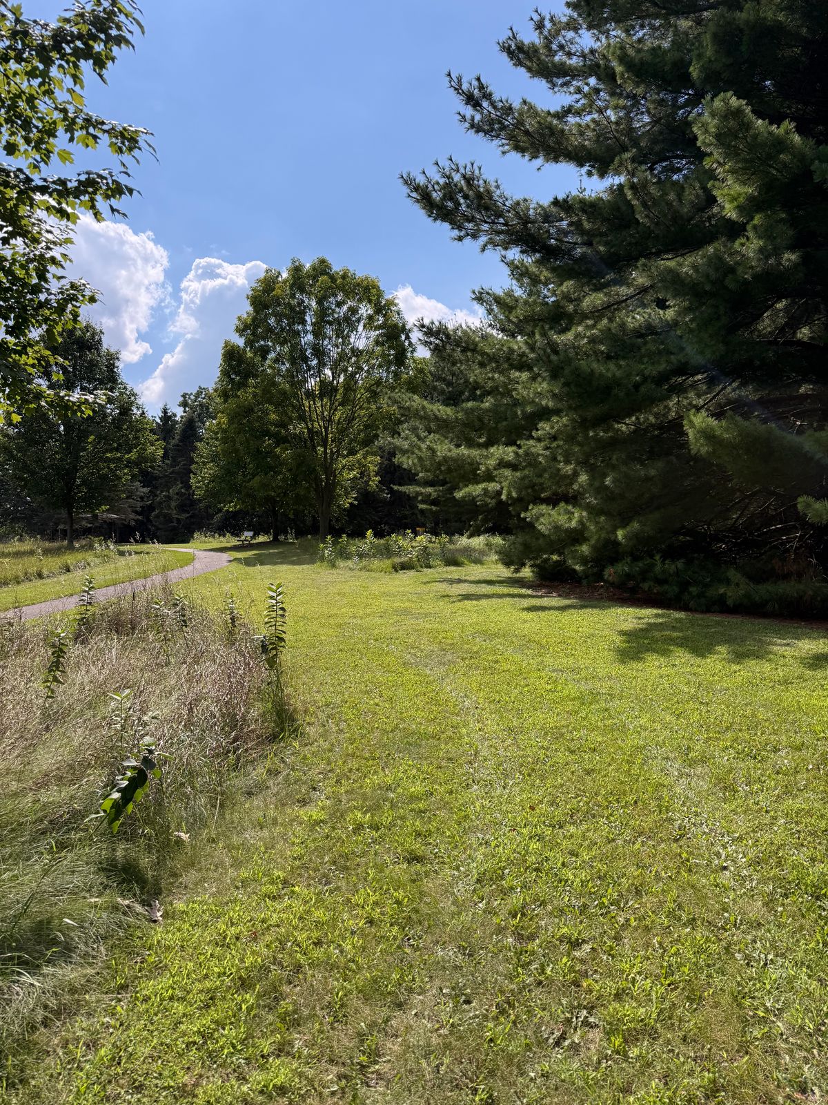 Hole 2 tee area looking at basket