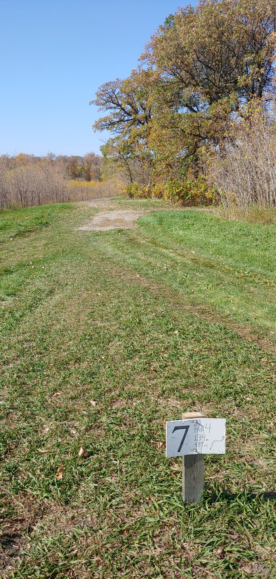 Seventh tee. Crazy dog leg right with multiple route options. Pin is around the second corner.