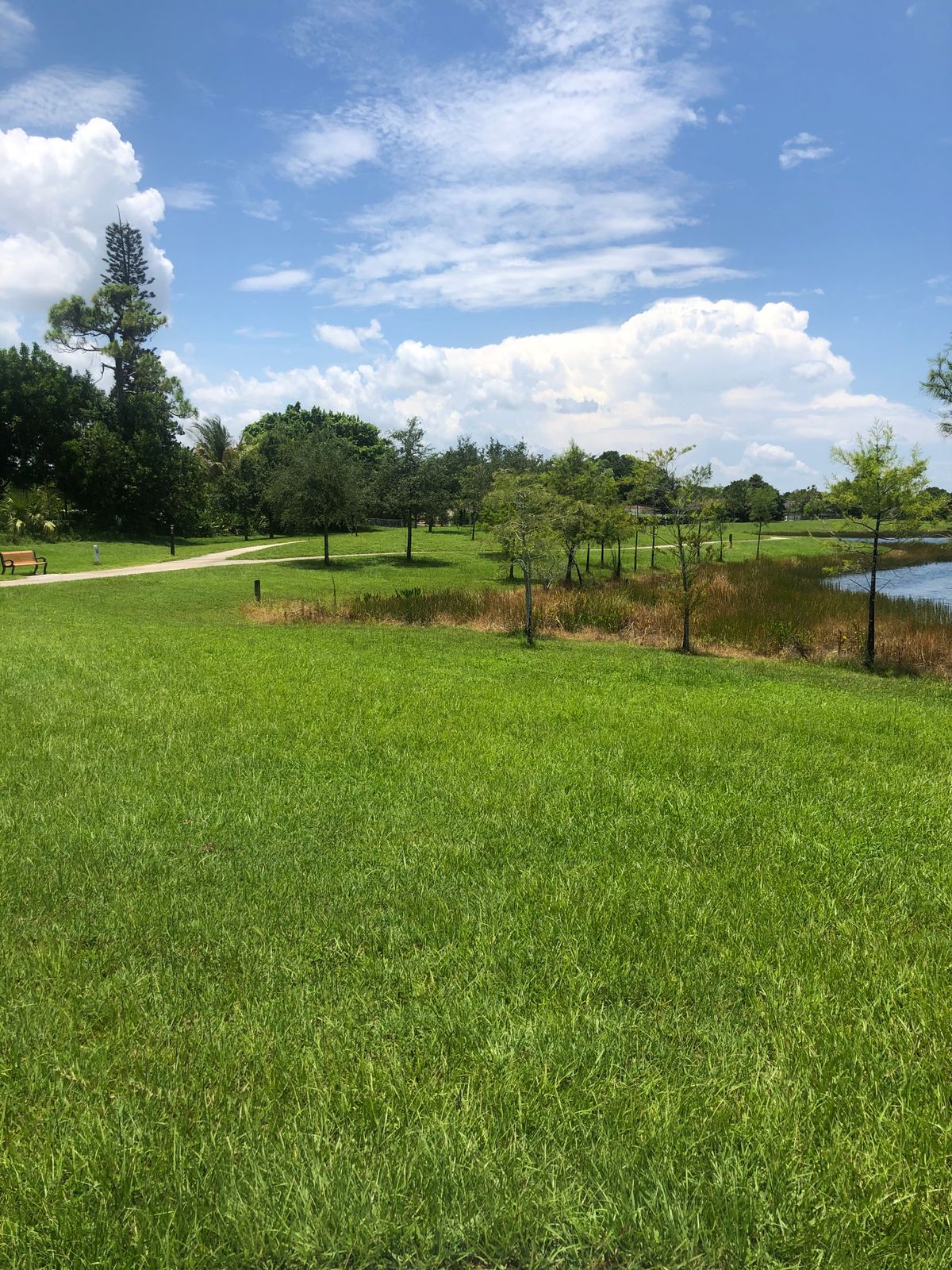 Hole 7