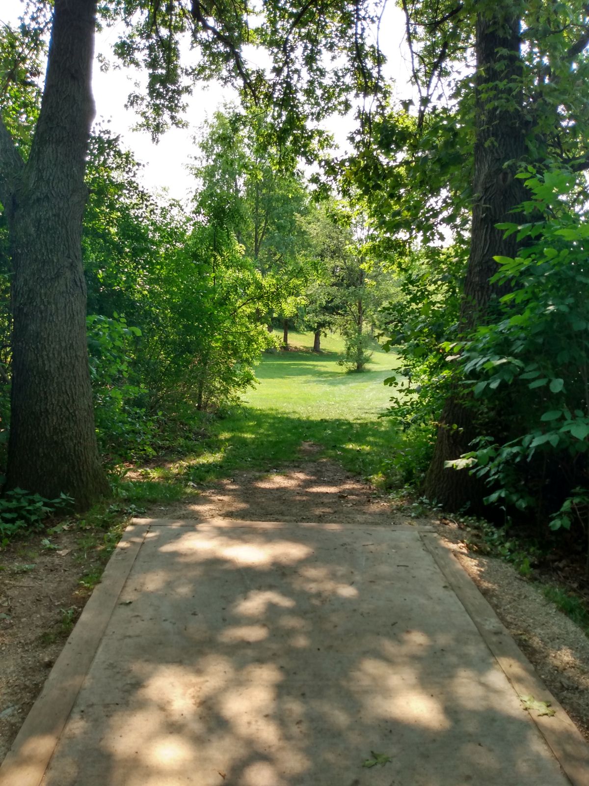 Hole 8 and 17 are both straight ahead. Hole 8 is the long basket and sits up a hill a ways.