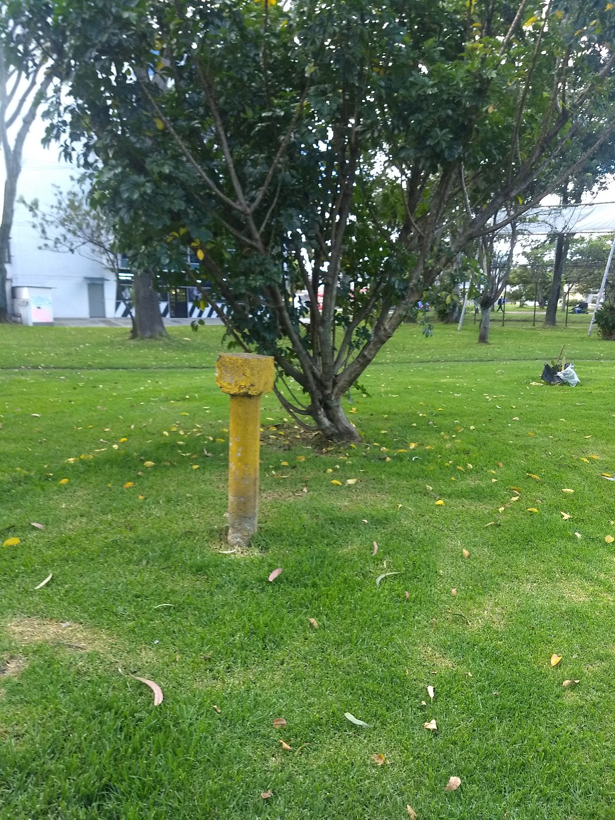Objects.