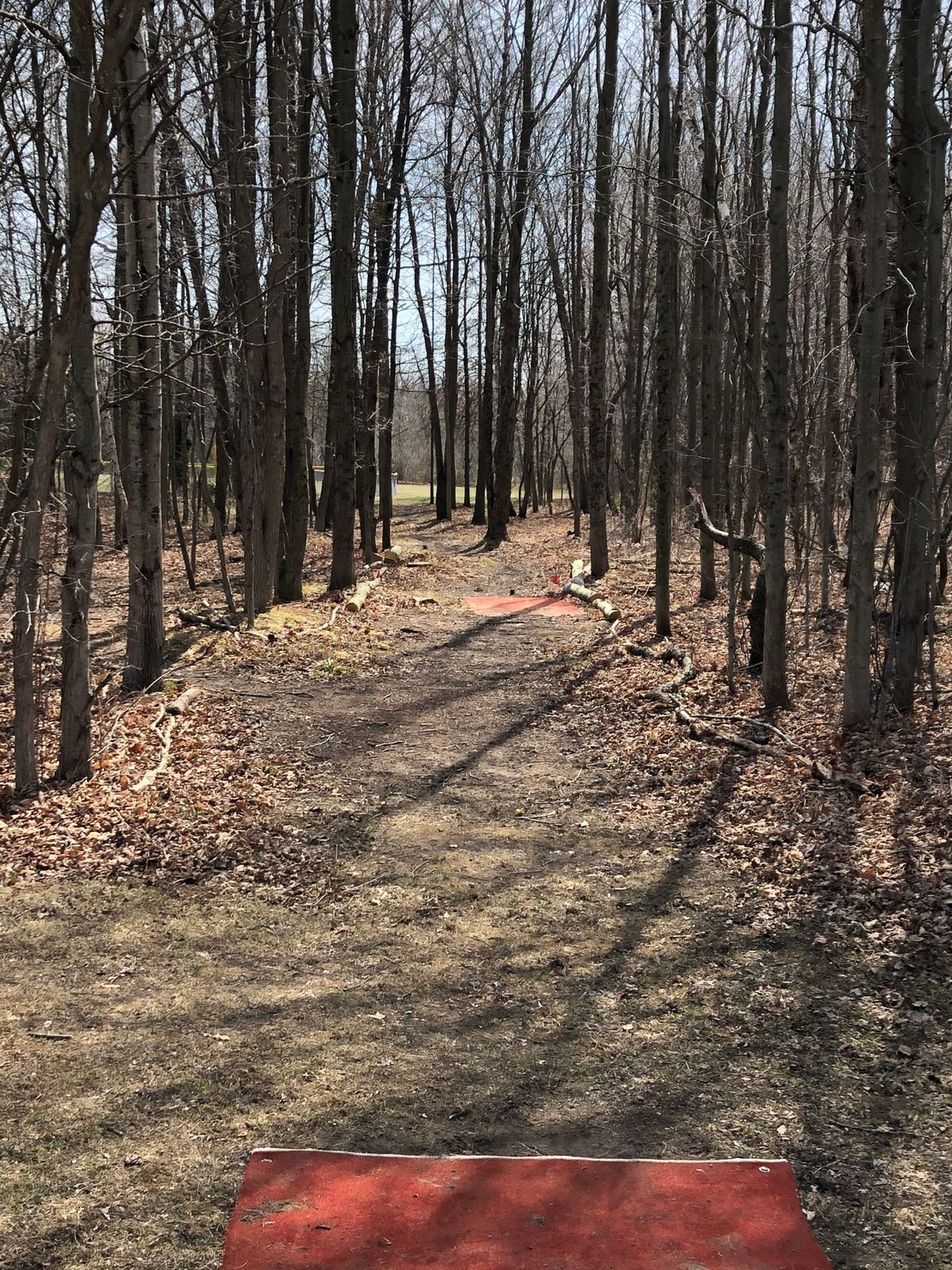 Hole 13 long tee