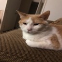 User avatar image