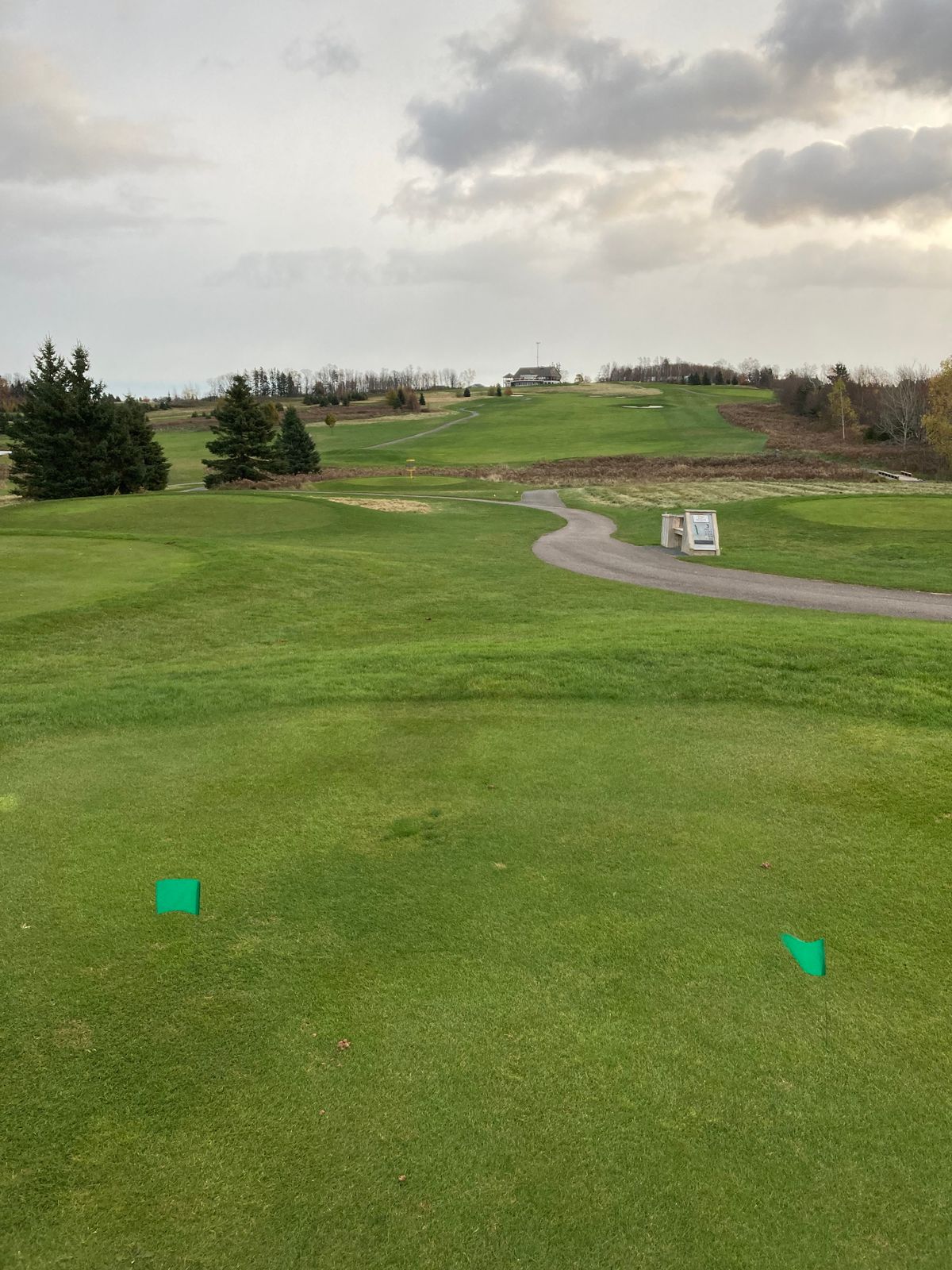 Hole 6 Green tee