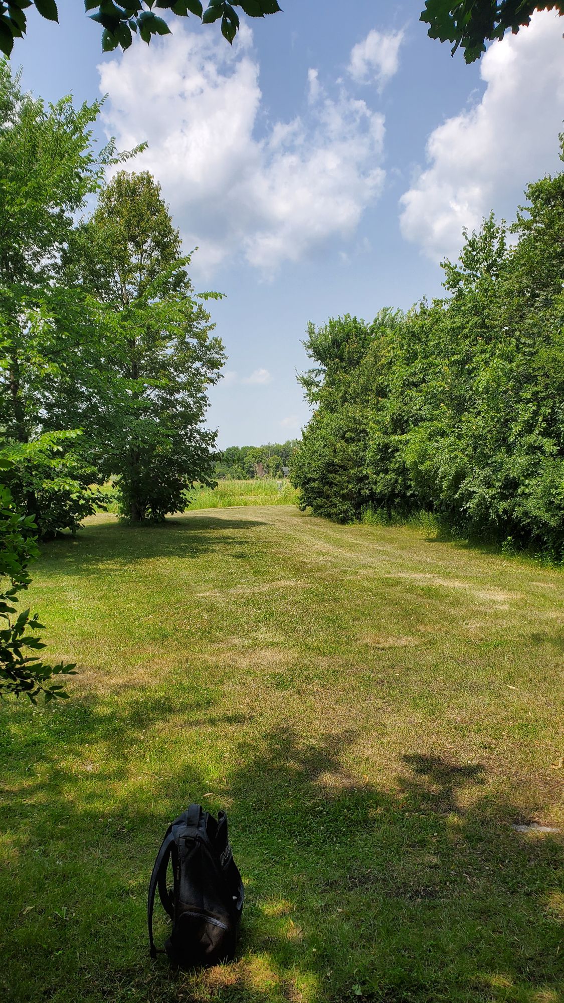 Hole 4 tee. Hole is over a water hazard and throwing on the boundry.