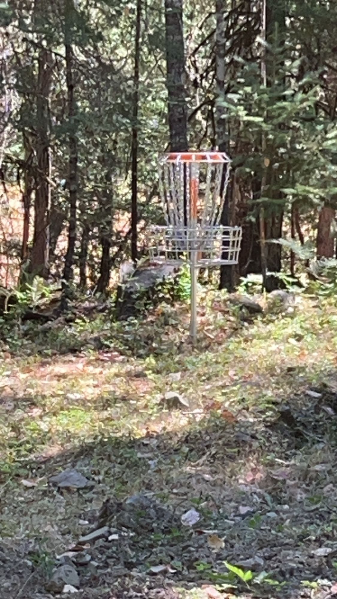 Hole 5
