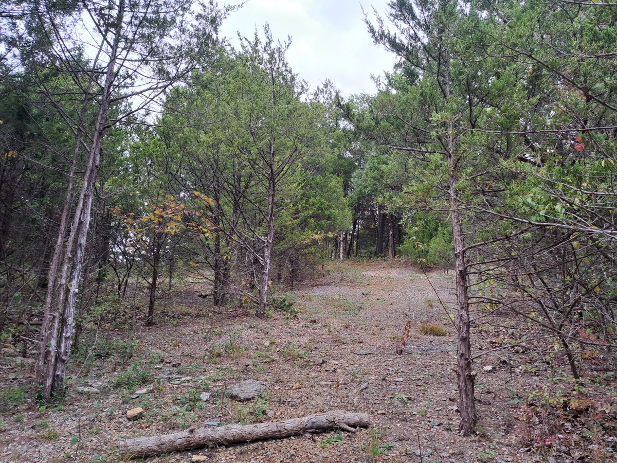 Hole 2