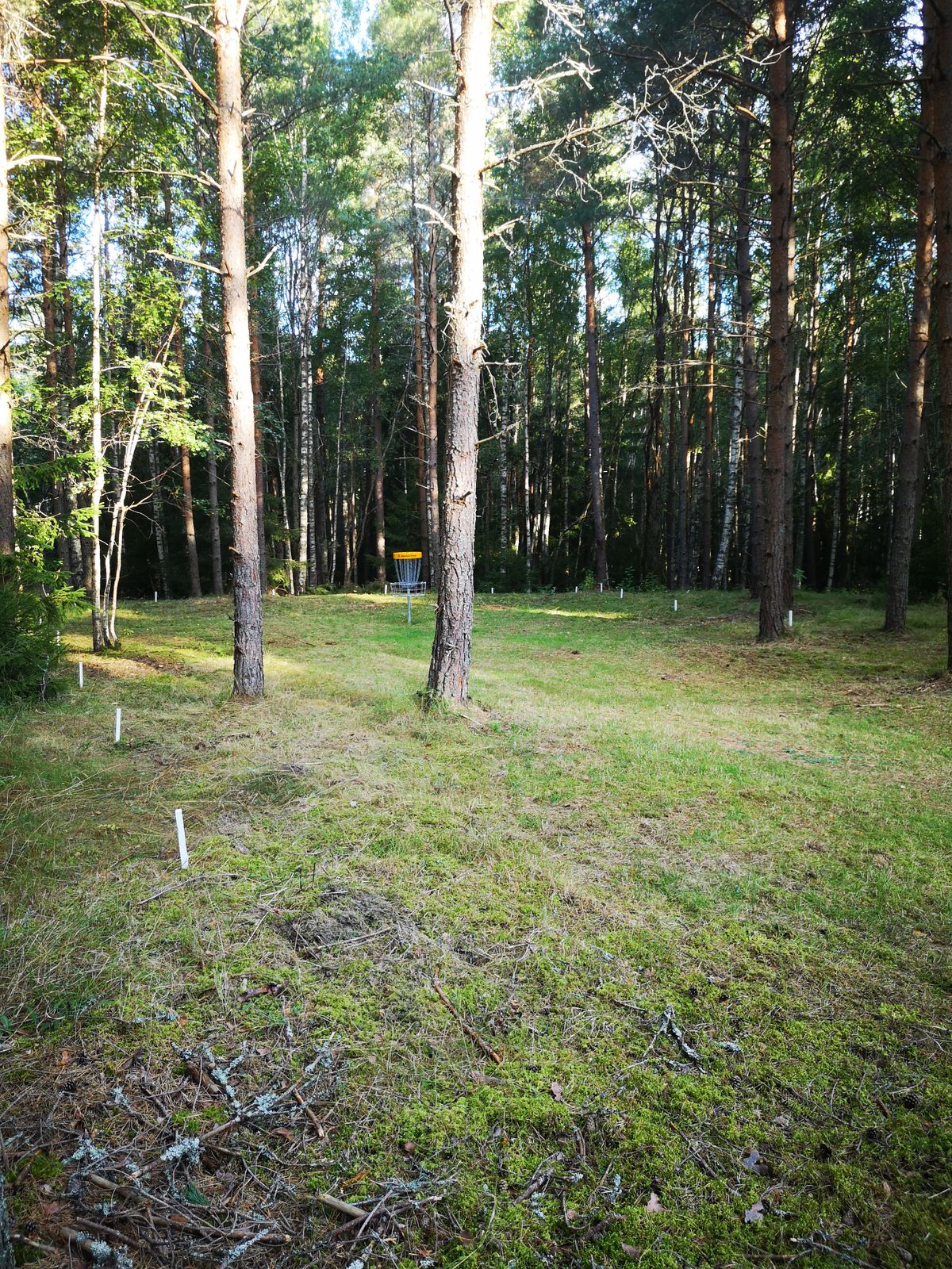 Hål 15