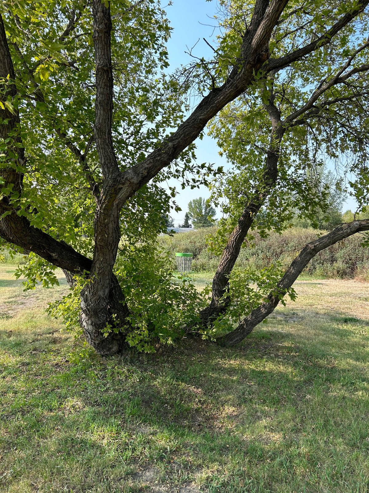 Hole 3