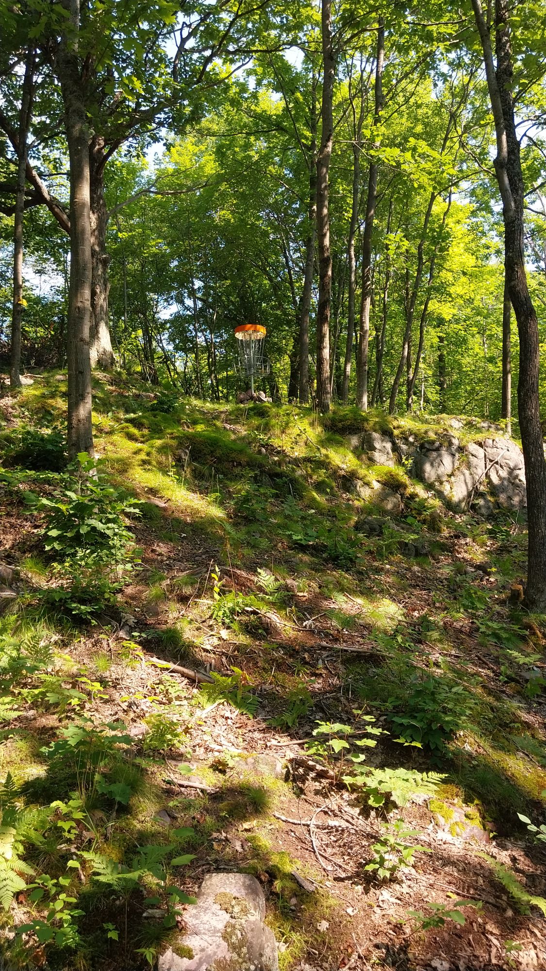 Hole 12 long