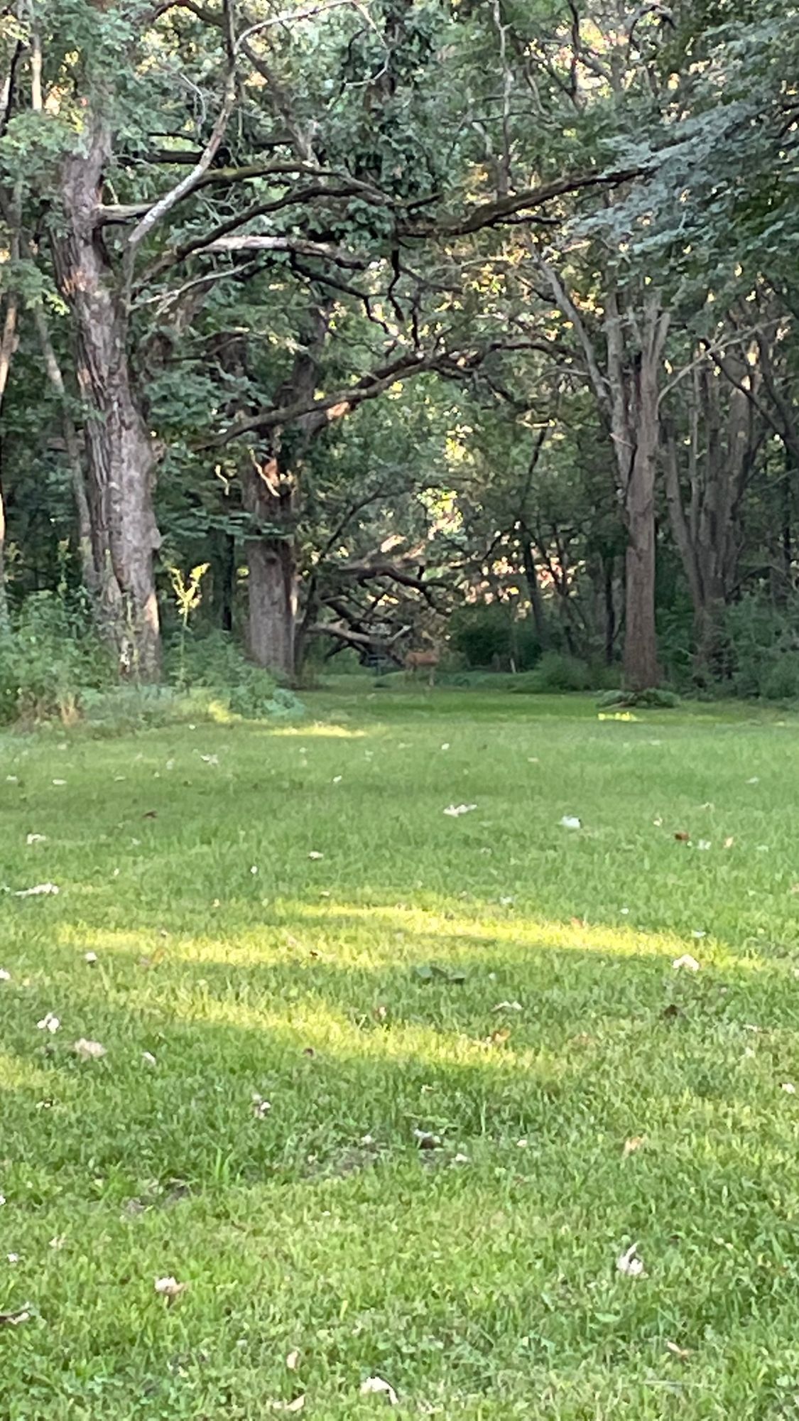 Hole 2