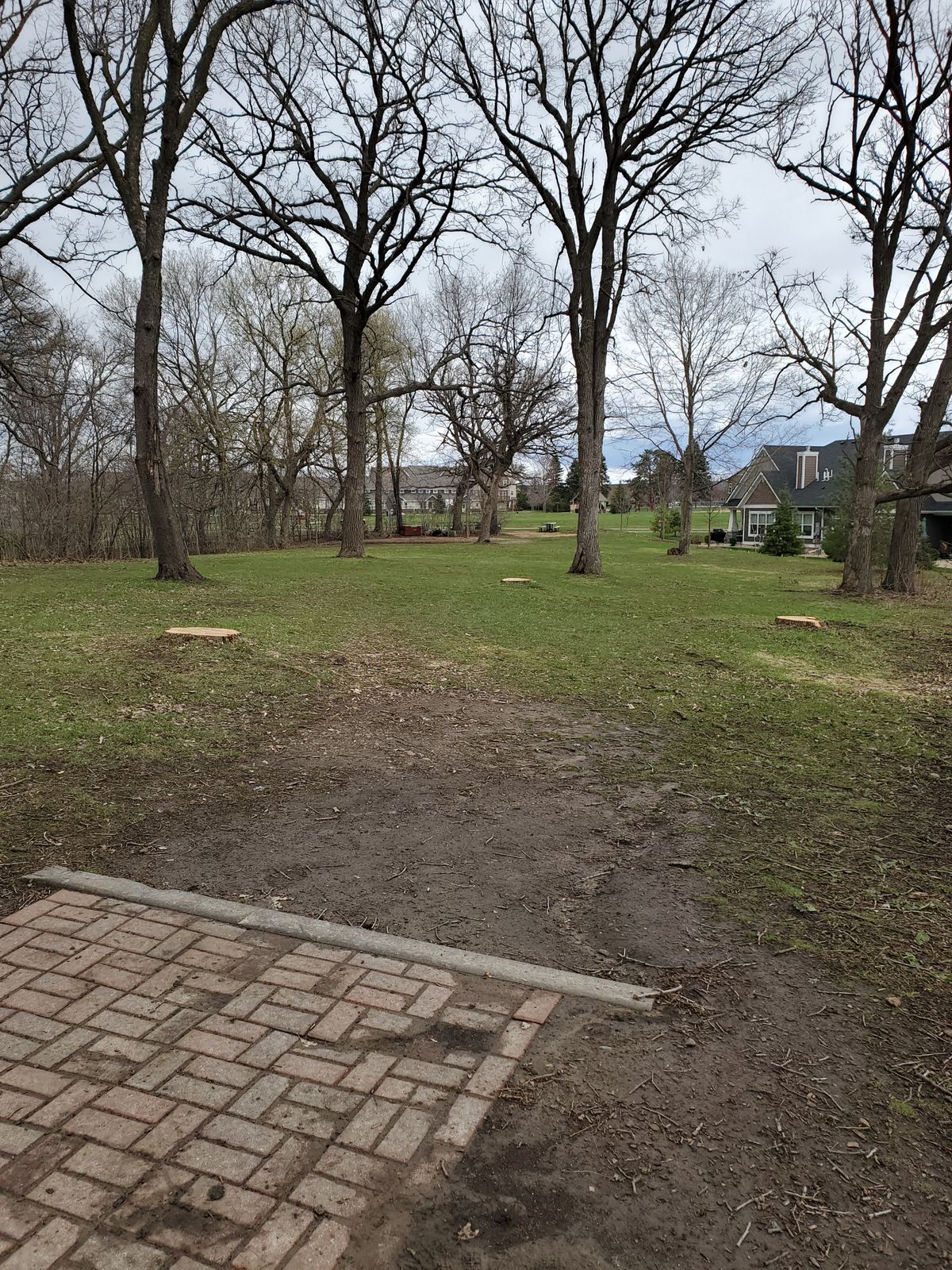 Hole 9/18 is now much more open due to trees being cut down