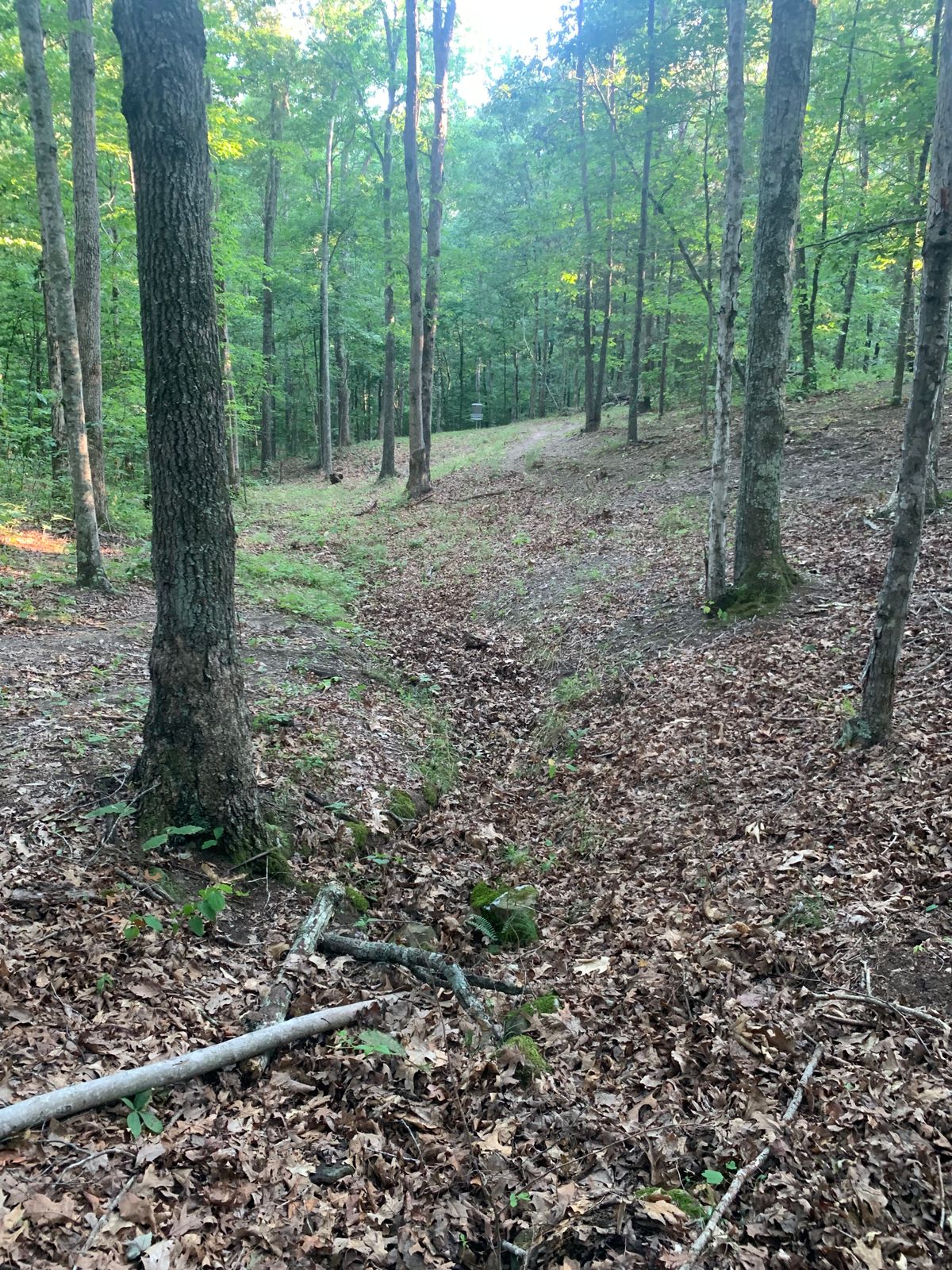 Hole #7