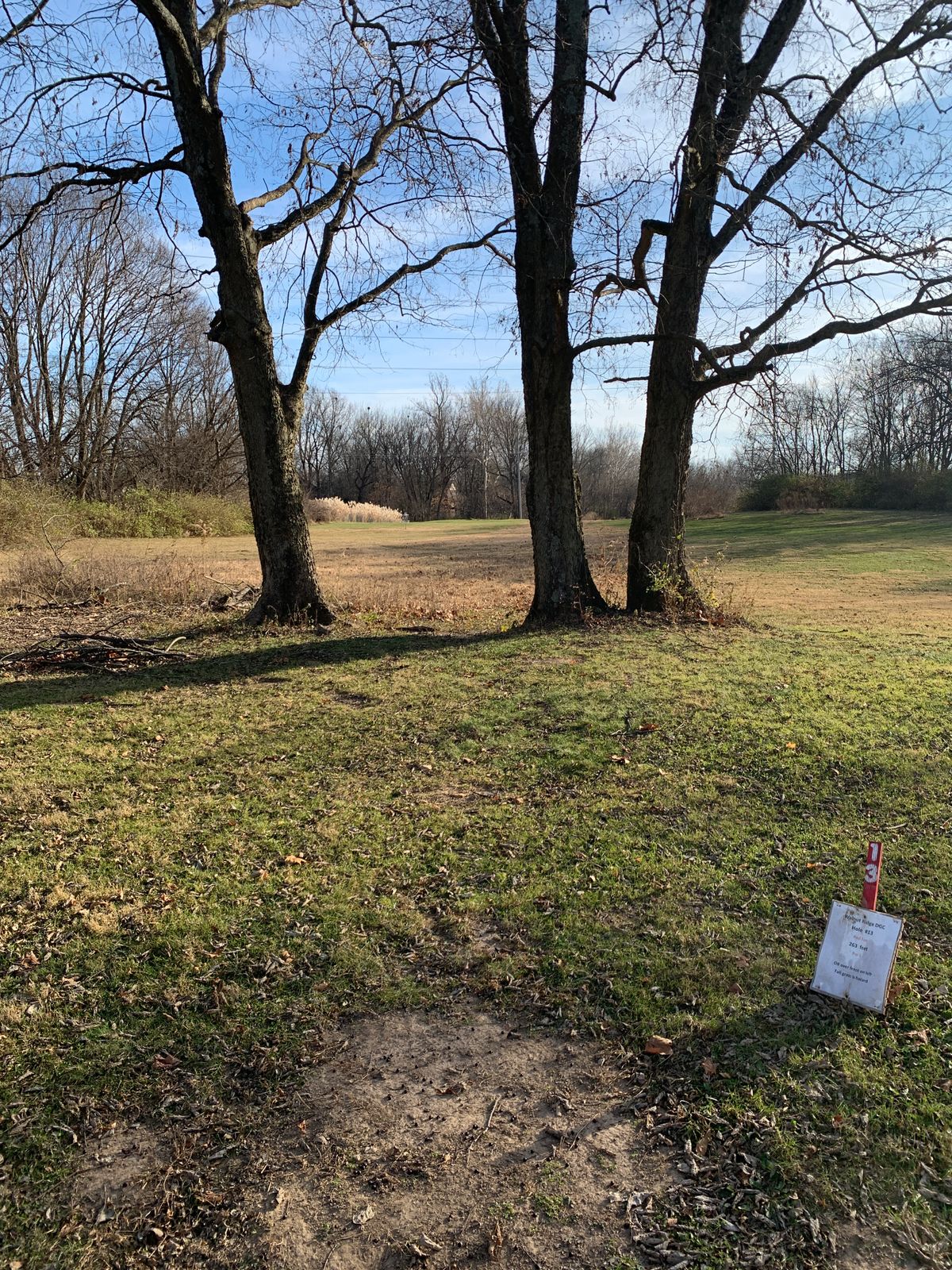 Hole 13