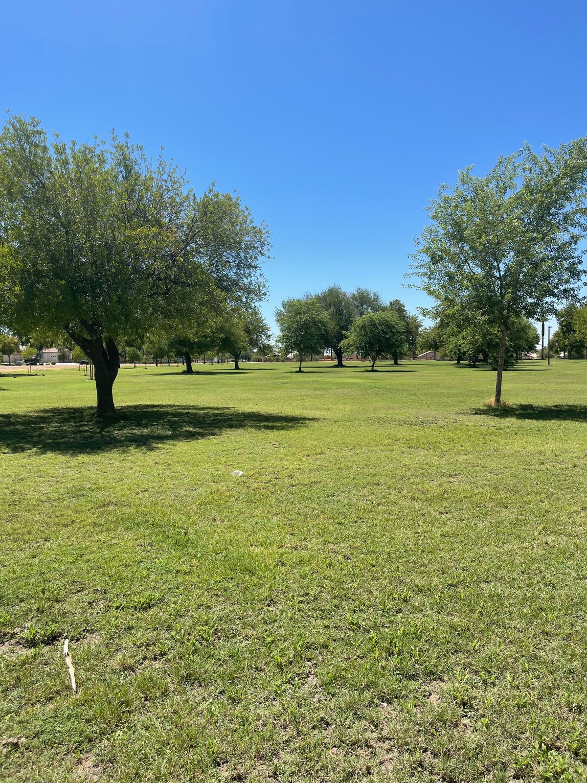 El Prado Park *Temp Course*