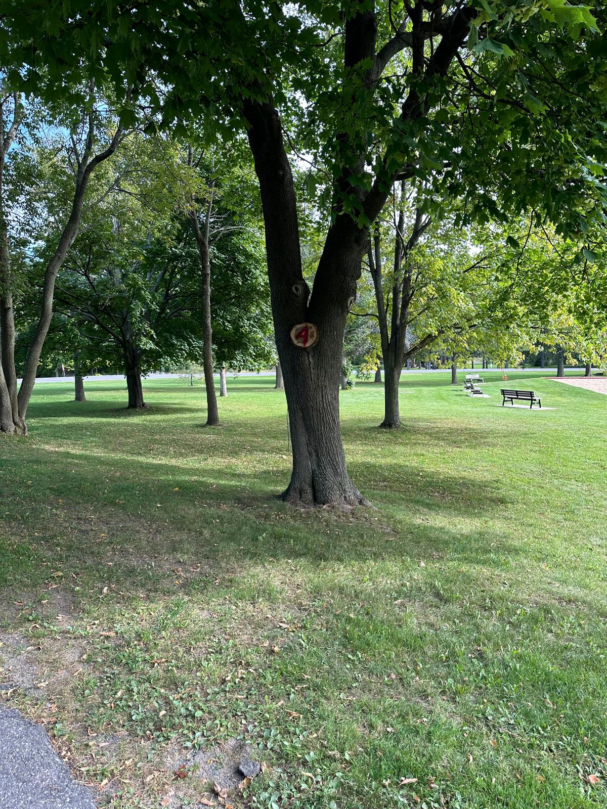 Hole 4