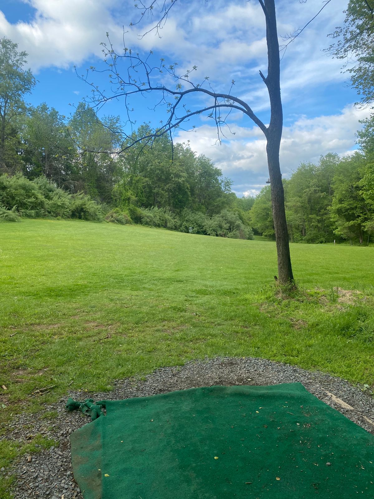 Hole 5 tee pad