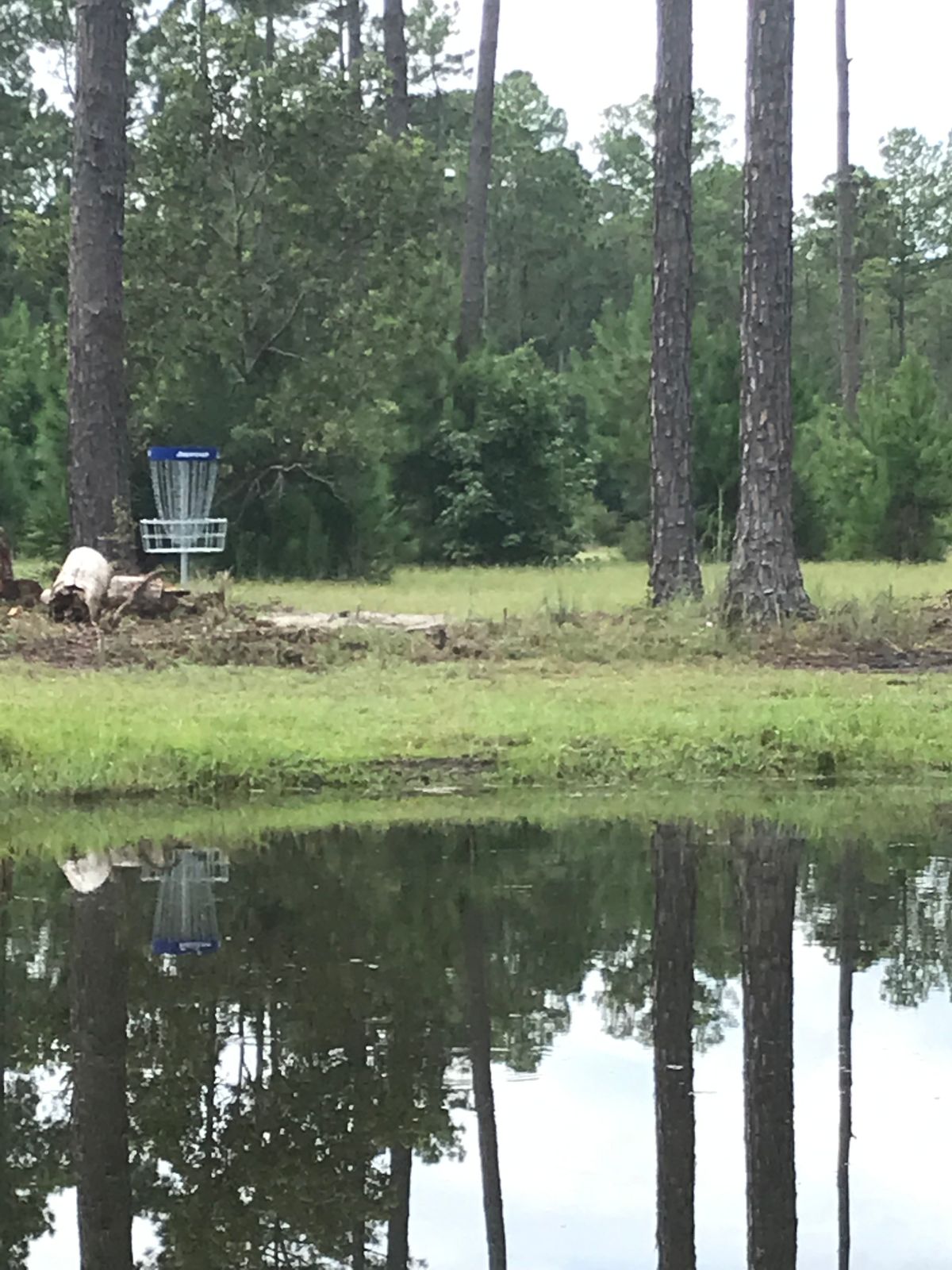 Hole 18