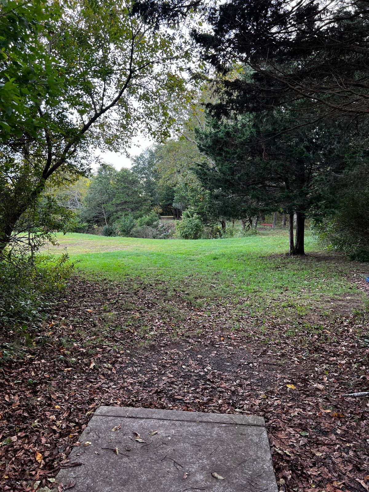 Hole 15 White