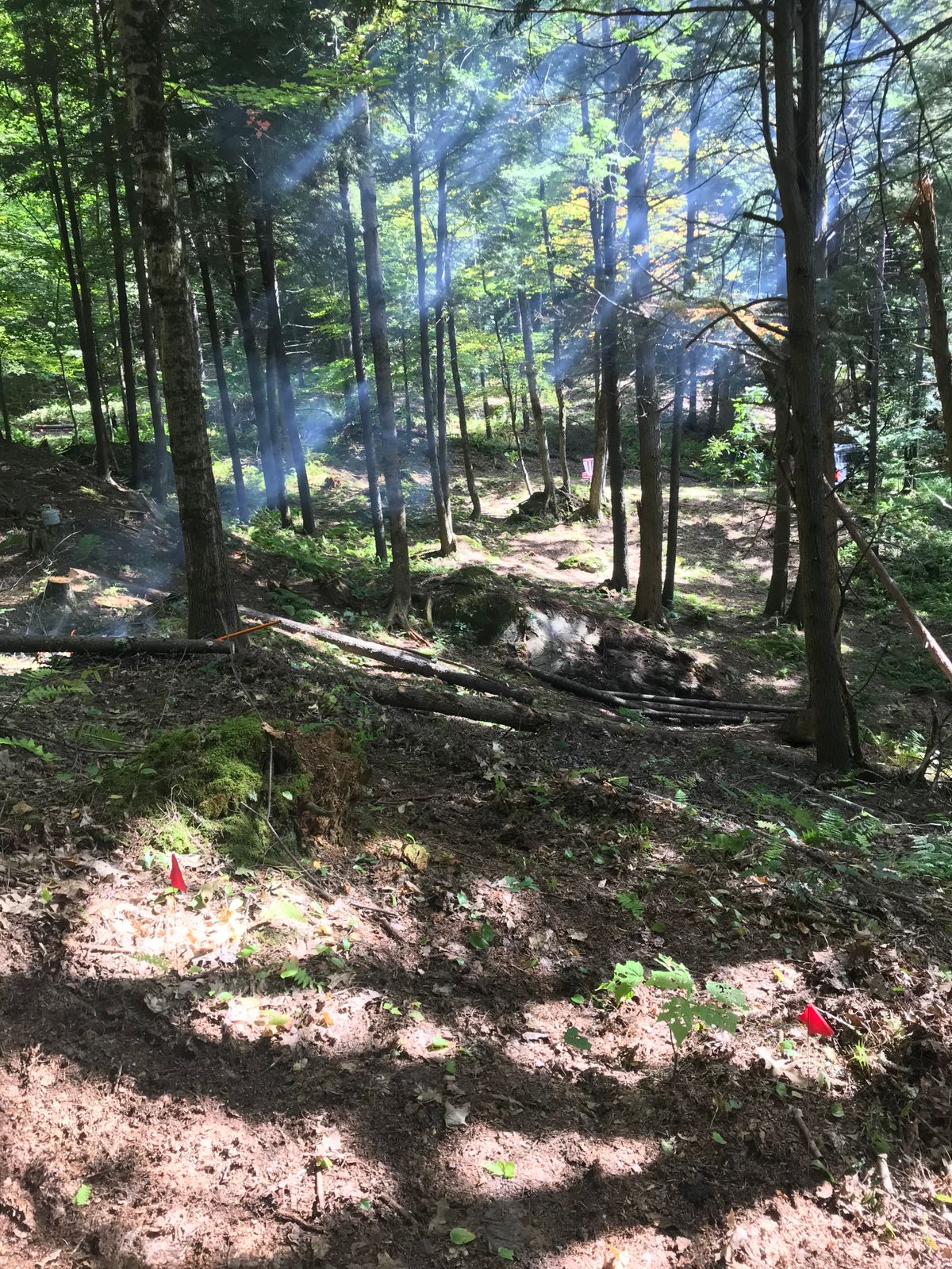 Hole 3, short tee