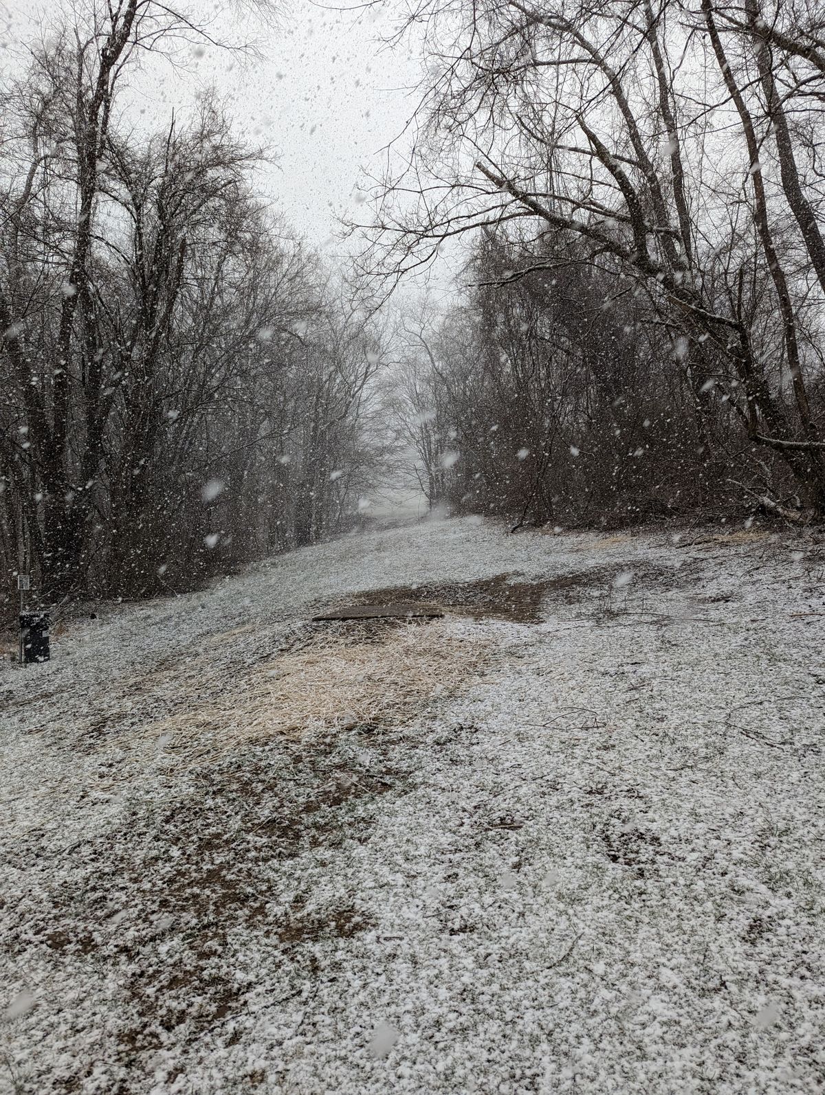 Hole 12 behind short (white) tee