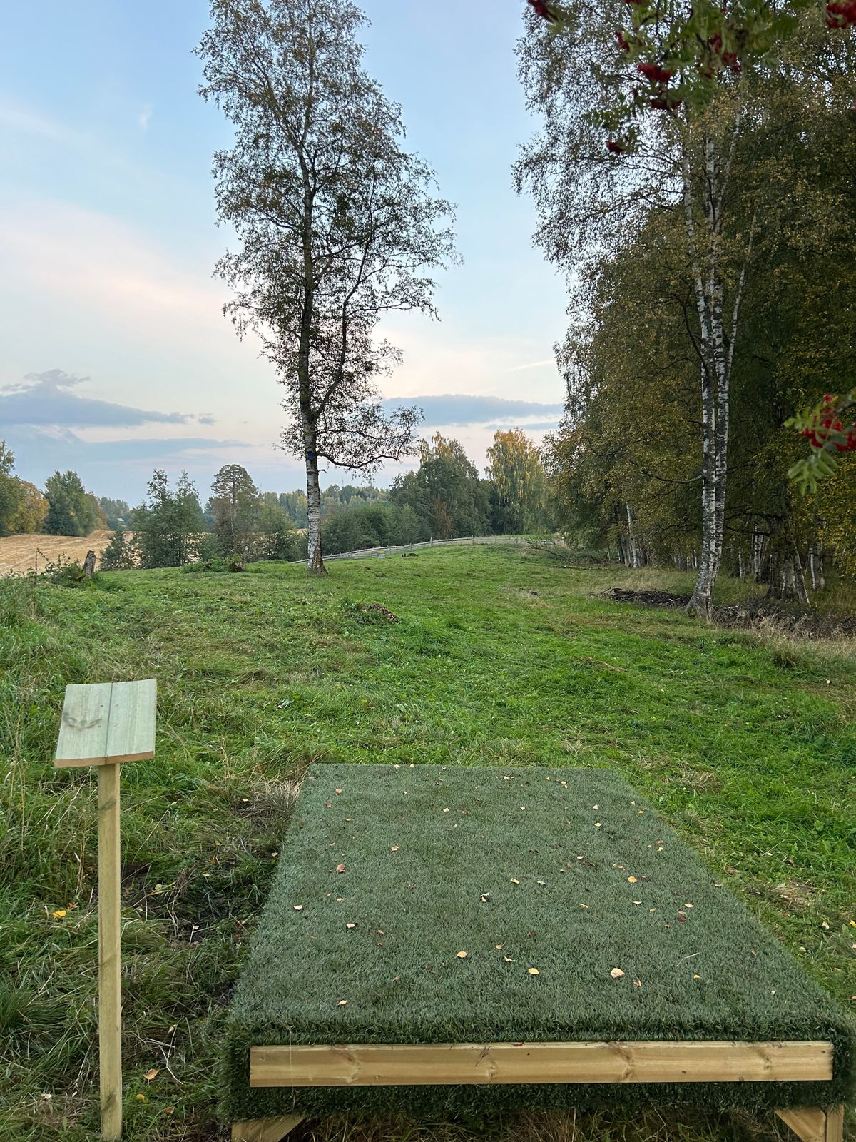 Teepad hole 9