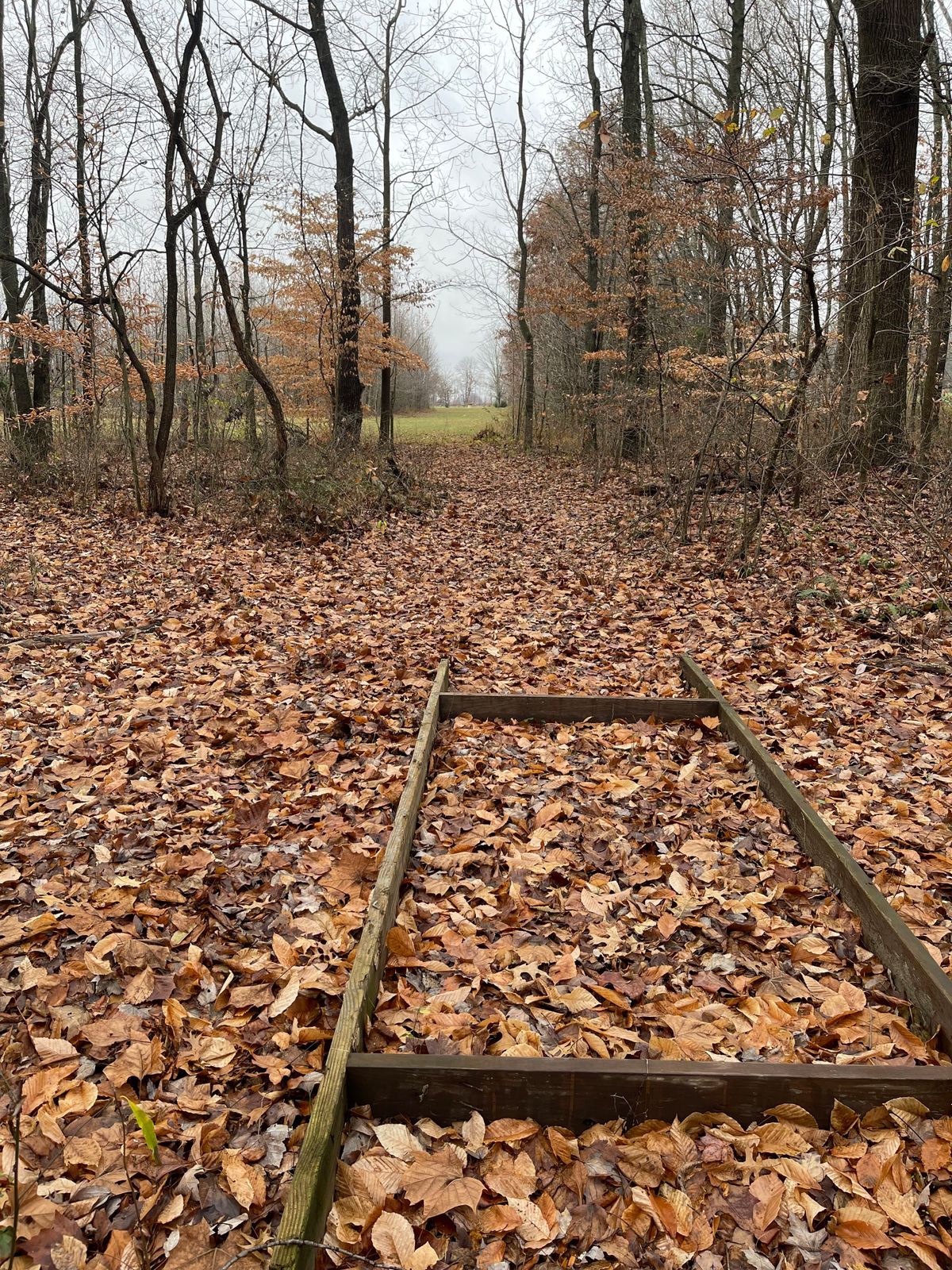 Hole 14