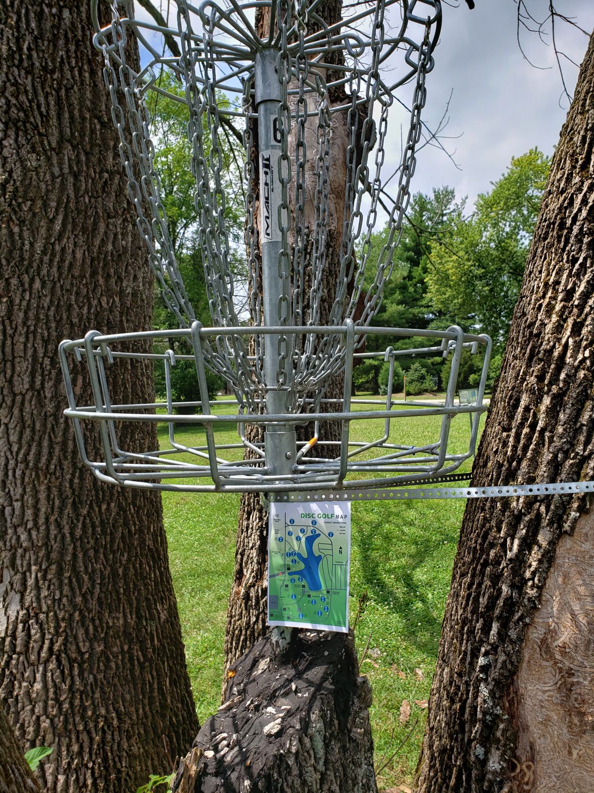 #6 Basket in tree close up.