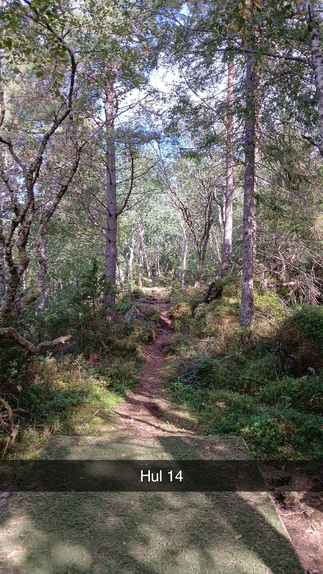 Rød