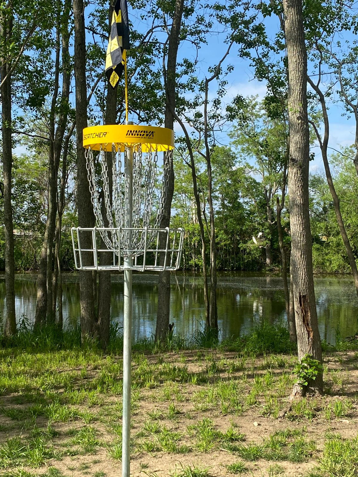 Hole 15 elevated basket by the water with birds in the back!