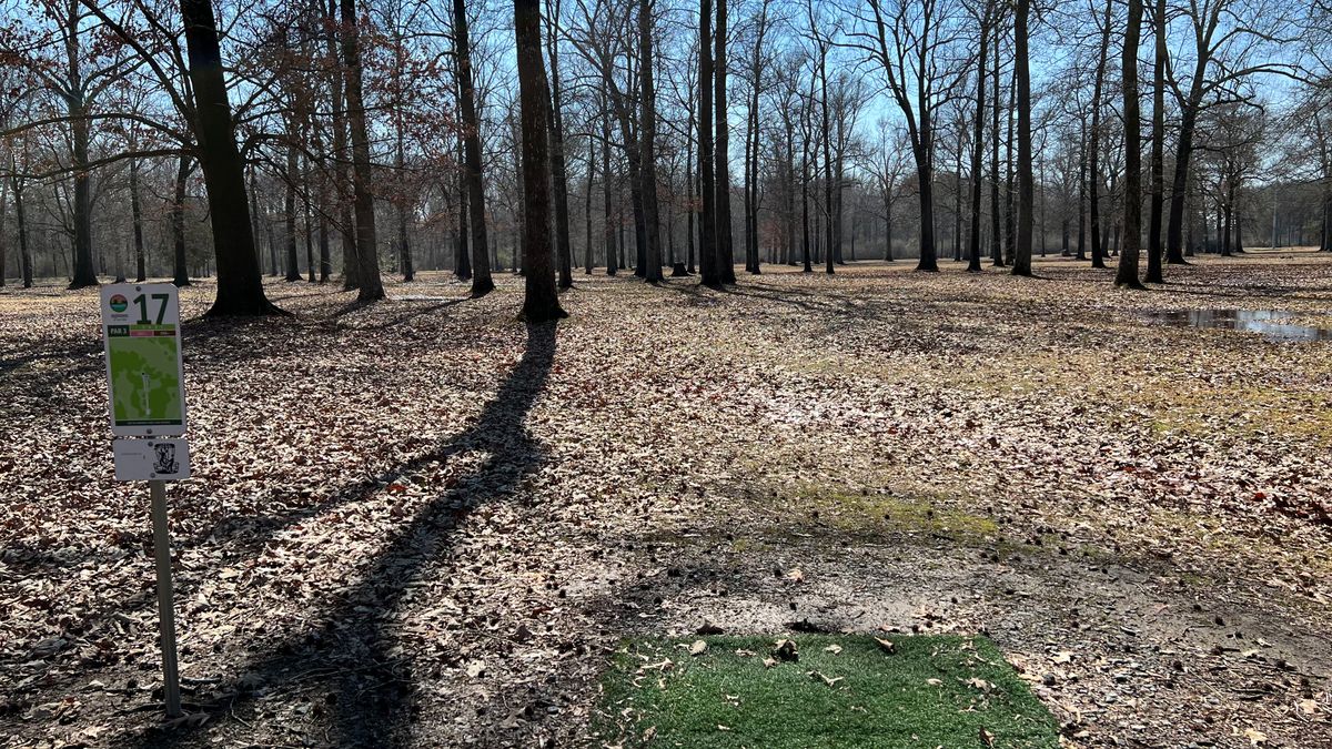 Hole 17