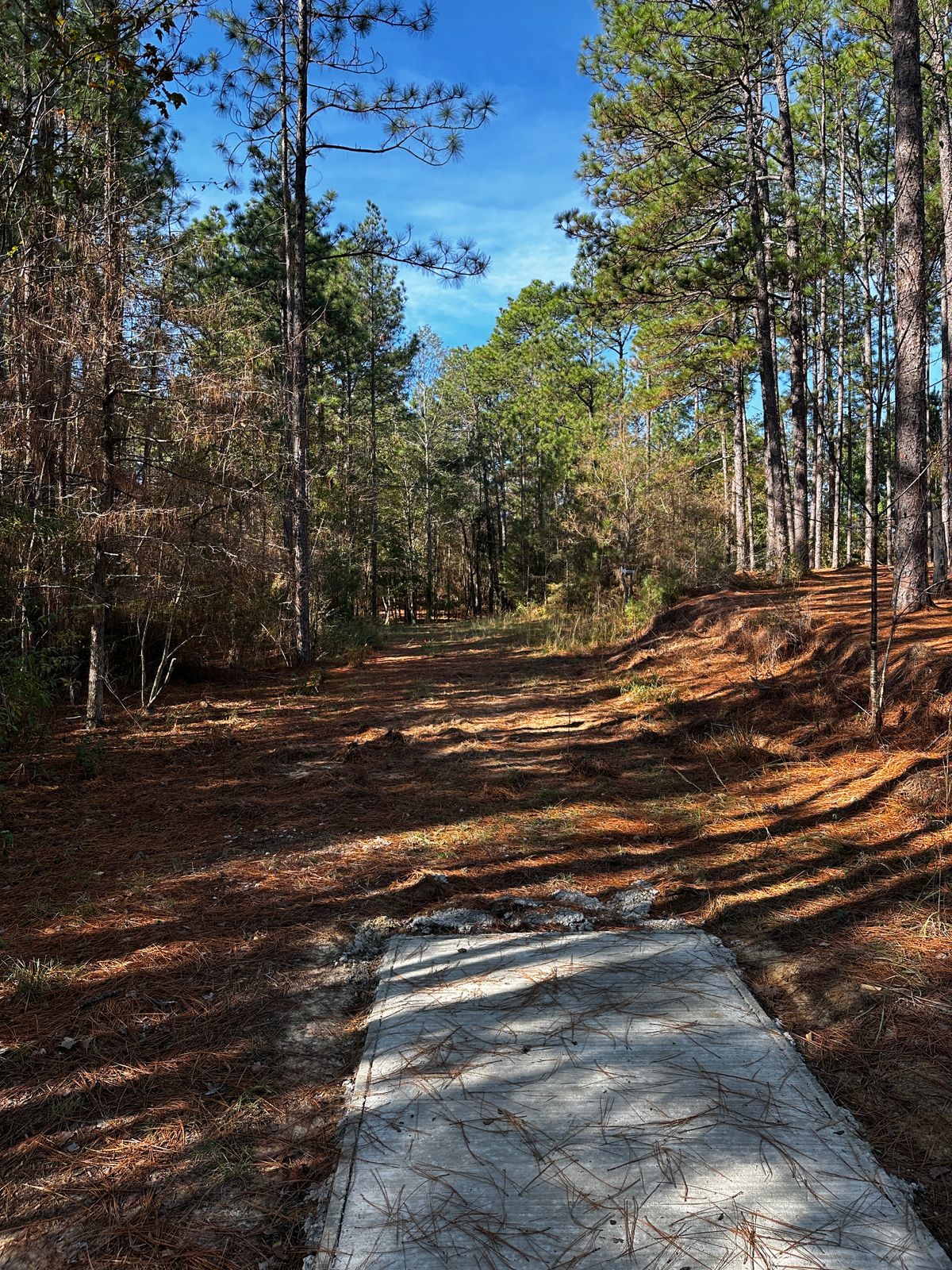 Hole 5 blue