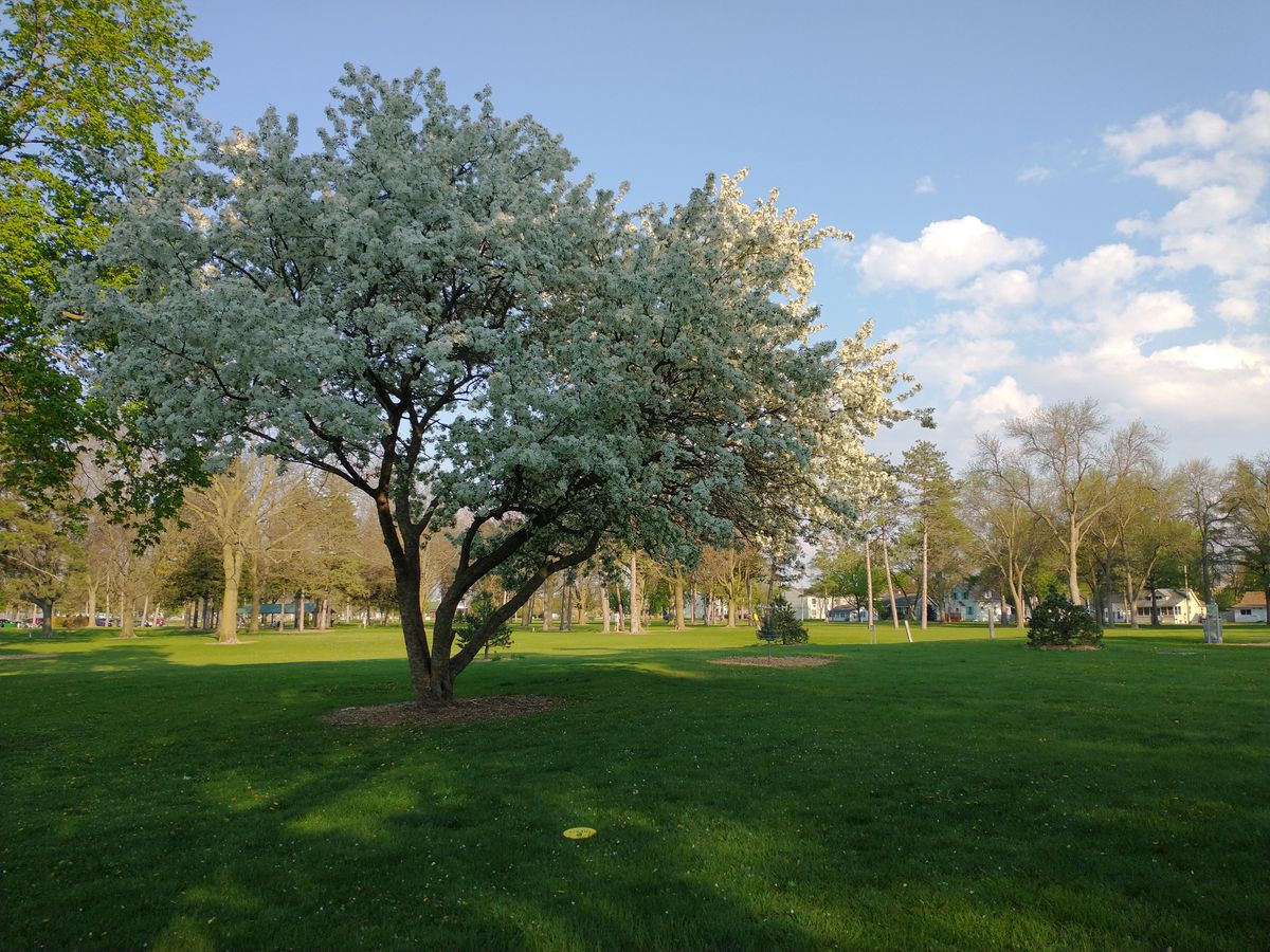 Hole 6