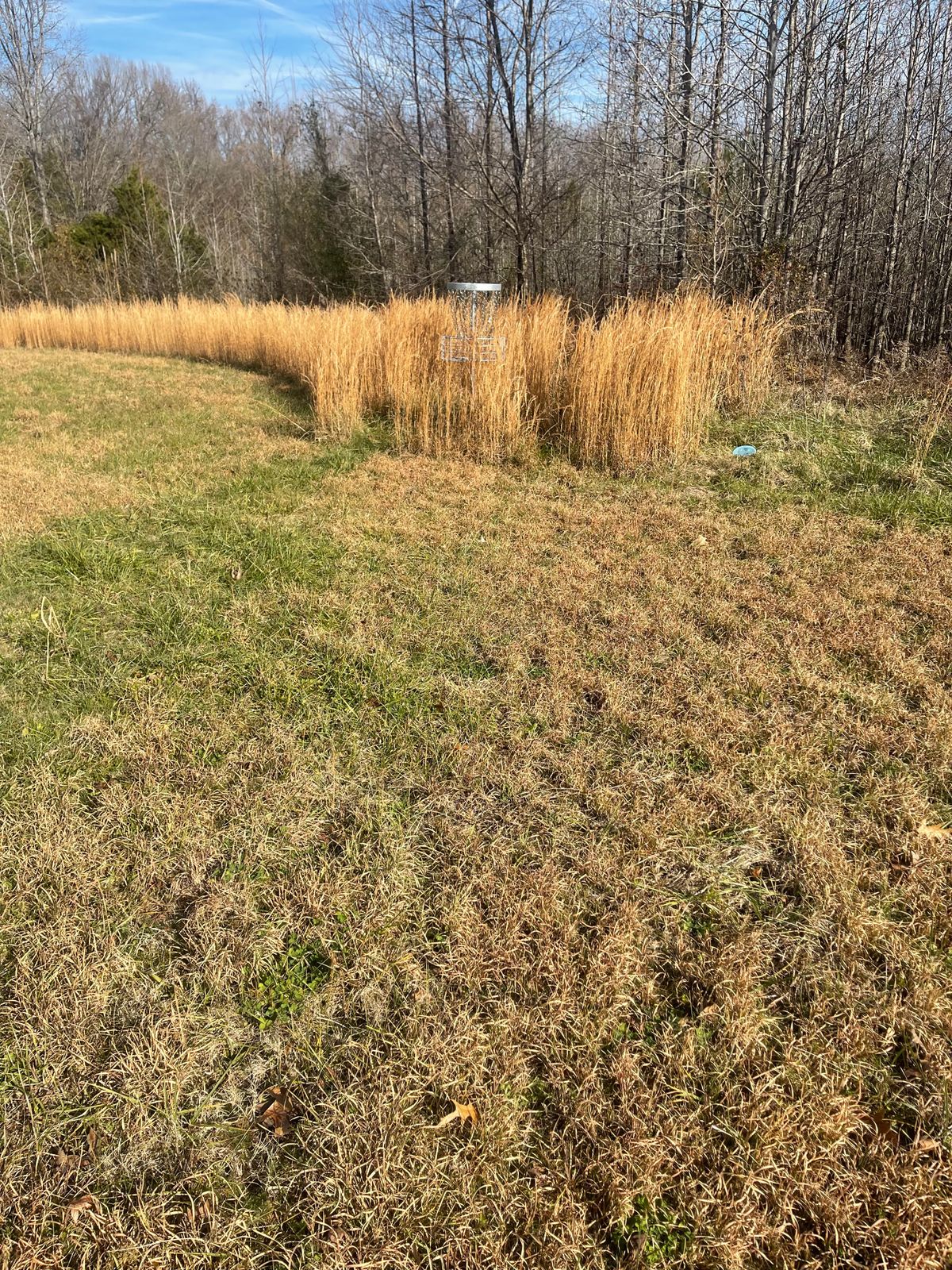 Hole 2 basket