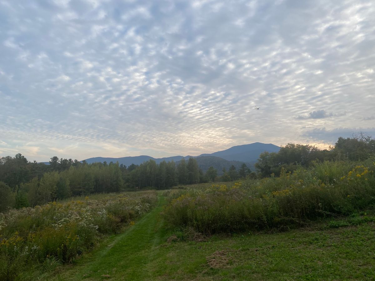 Hole 12 tee looking over hole 13 green at mountains