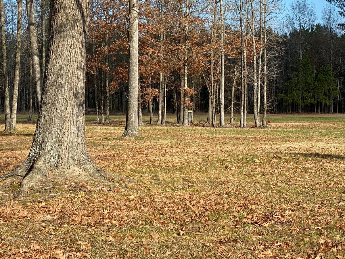 Hole 11 fairway