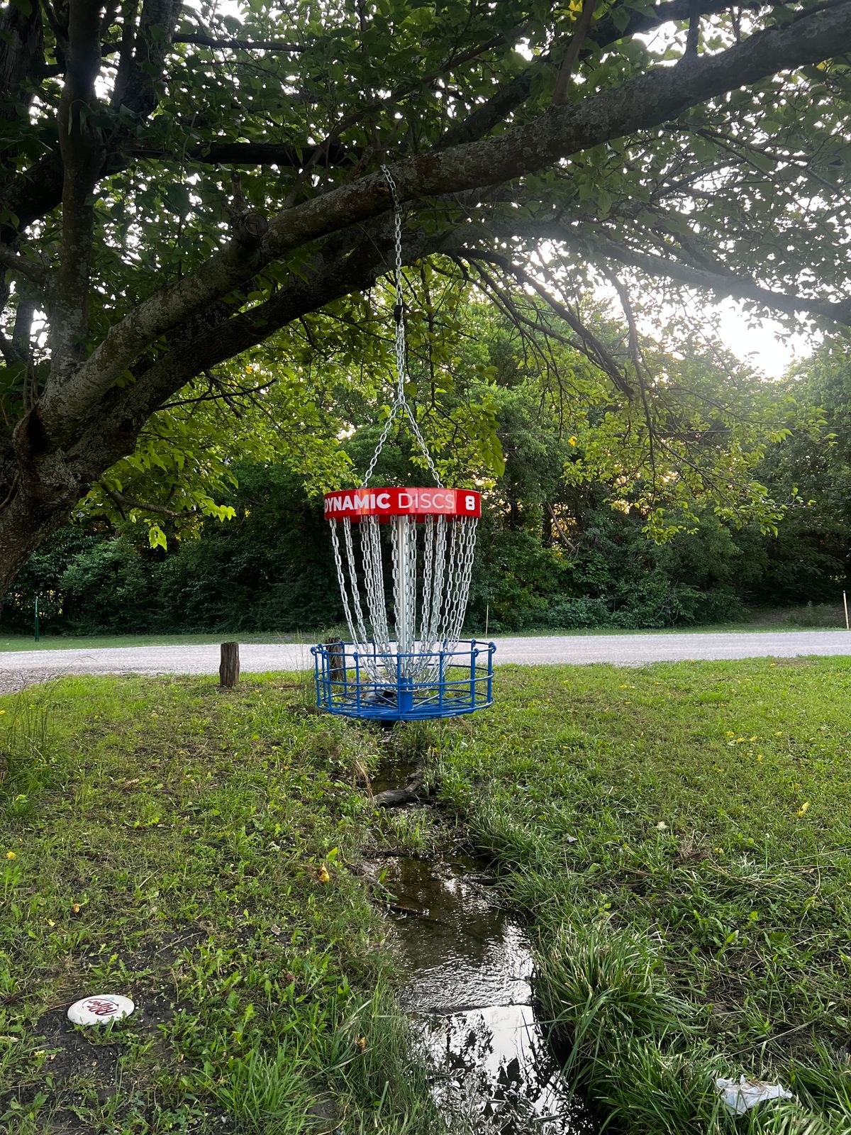 Hole # 8 Basket
