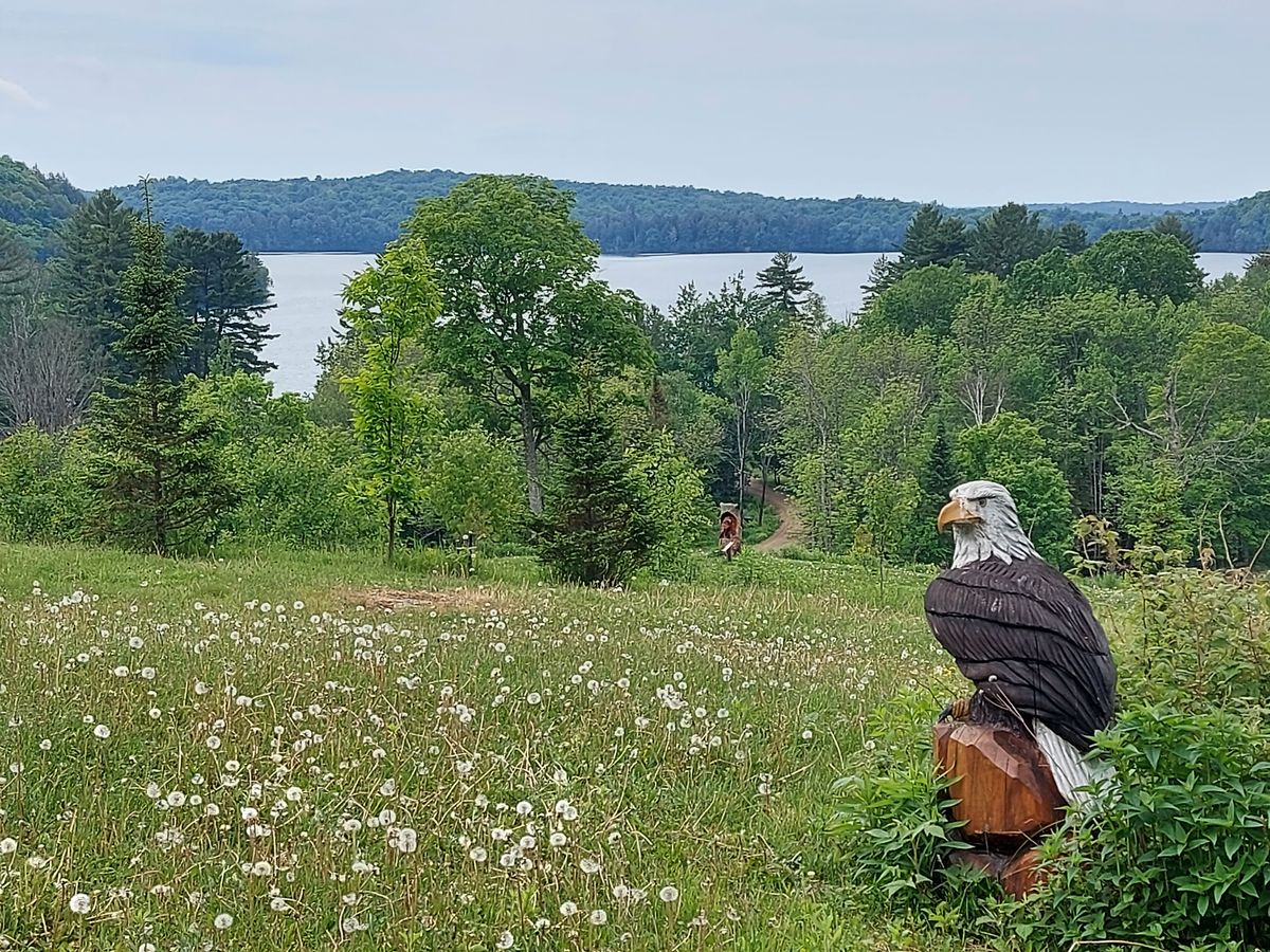 Awesome view 🦅🦅🦅🦅