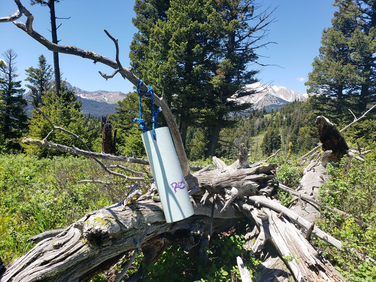 No baskets from top of the ridge just pvc. Fun but bring bear spray and somebody who knows the course. I just fumbled around.
