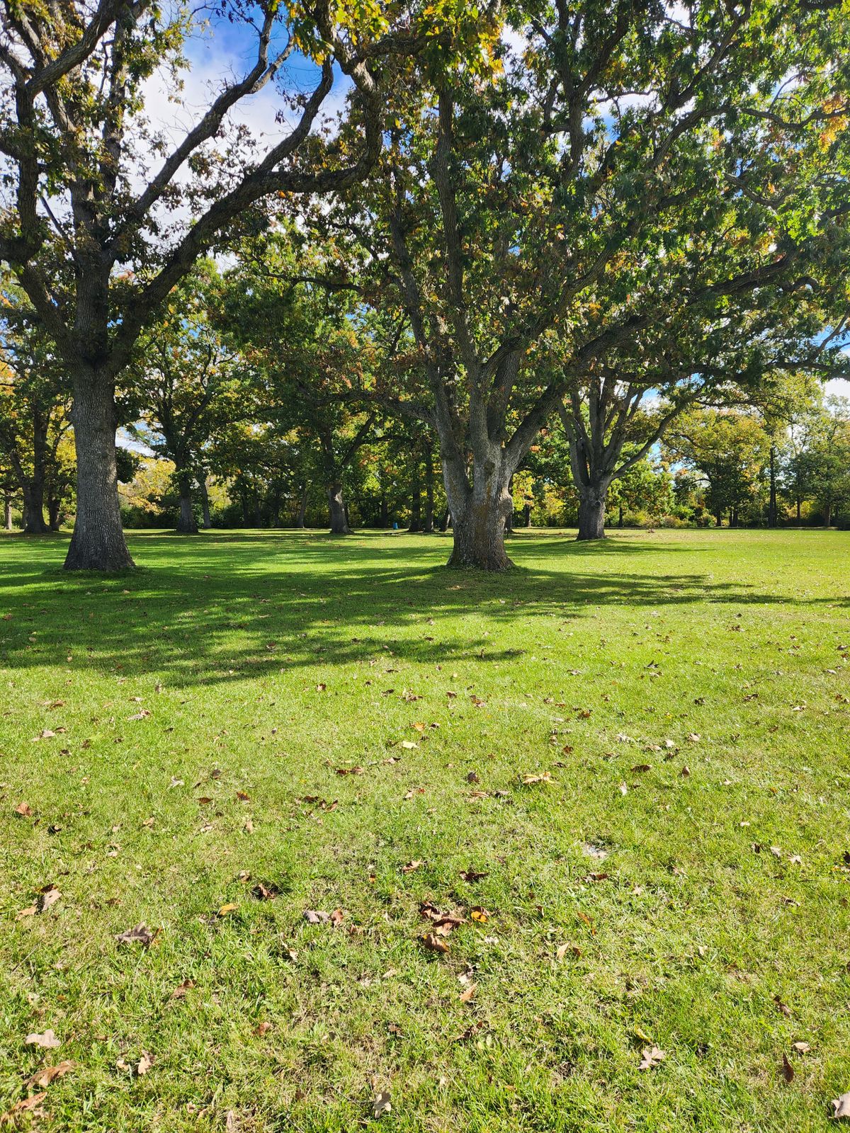 Hole 6 long tee