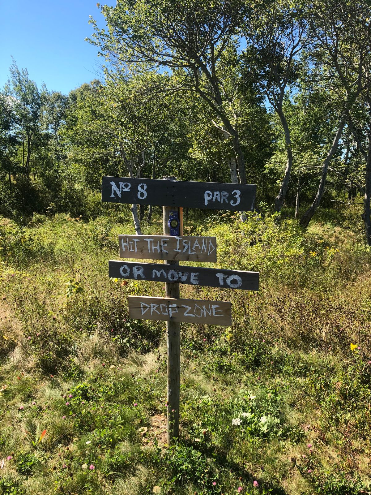 Hole 8, land in the island or throw from the drop zone