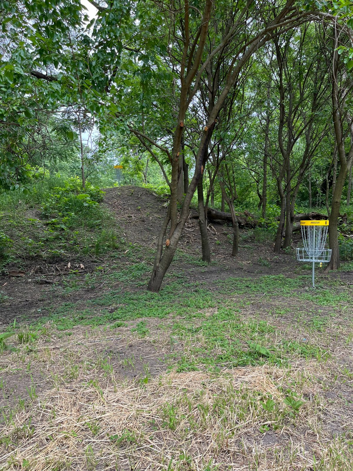 Hole 8’s basket short basket underneath and long basket on the hill