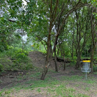 Hole 8’s basket short basket underneath and long basket on the hill